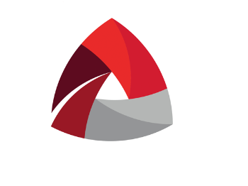 PLDT Icon